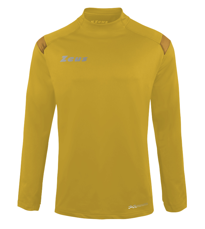 Monolith ML Training Top